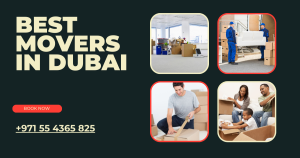 best movers in Dubai