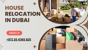 House Relocation in Dubai