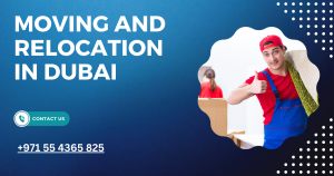 Moving and Relocation in Dubai